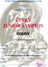 Český junior Šampion